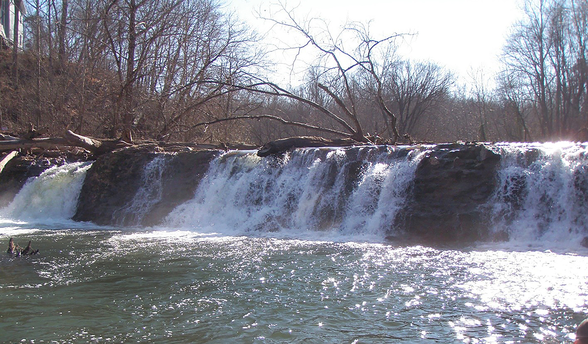 一個大石壩在拆除之前，上面有倒下的樹木的圖像