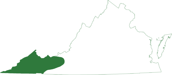 山合唱青蛙在弗吉尼亞州最西部的山區發現