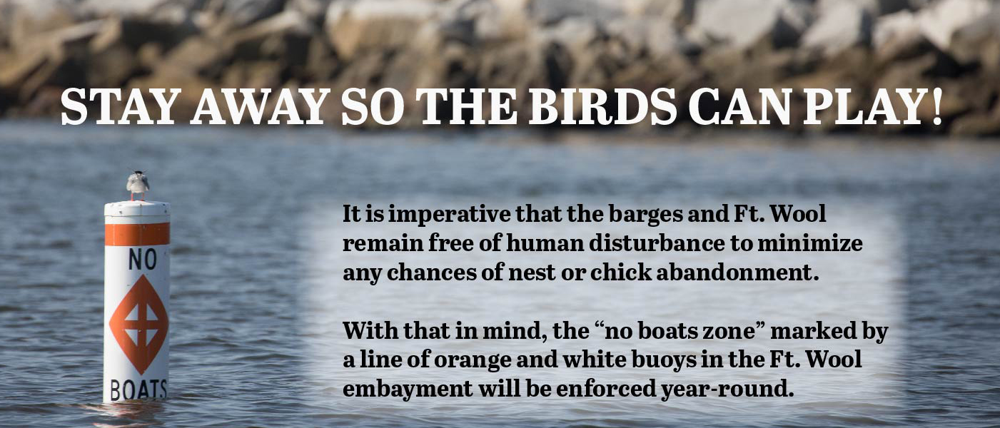 圖片指出沃爾堡和駁船不受人類干擾，以鼓勵岸鳥巢穴