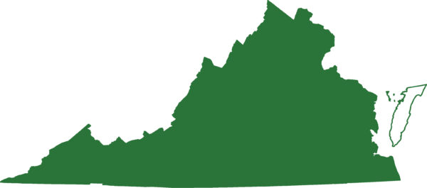 北部灰色山鼠在弗吉尼亞州,除了島嶼外,都可以找到