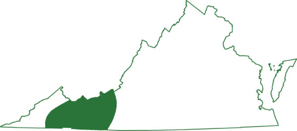 北方灰色臉頰山鼠在阿帕拉奇山脈的特定地區發現