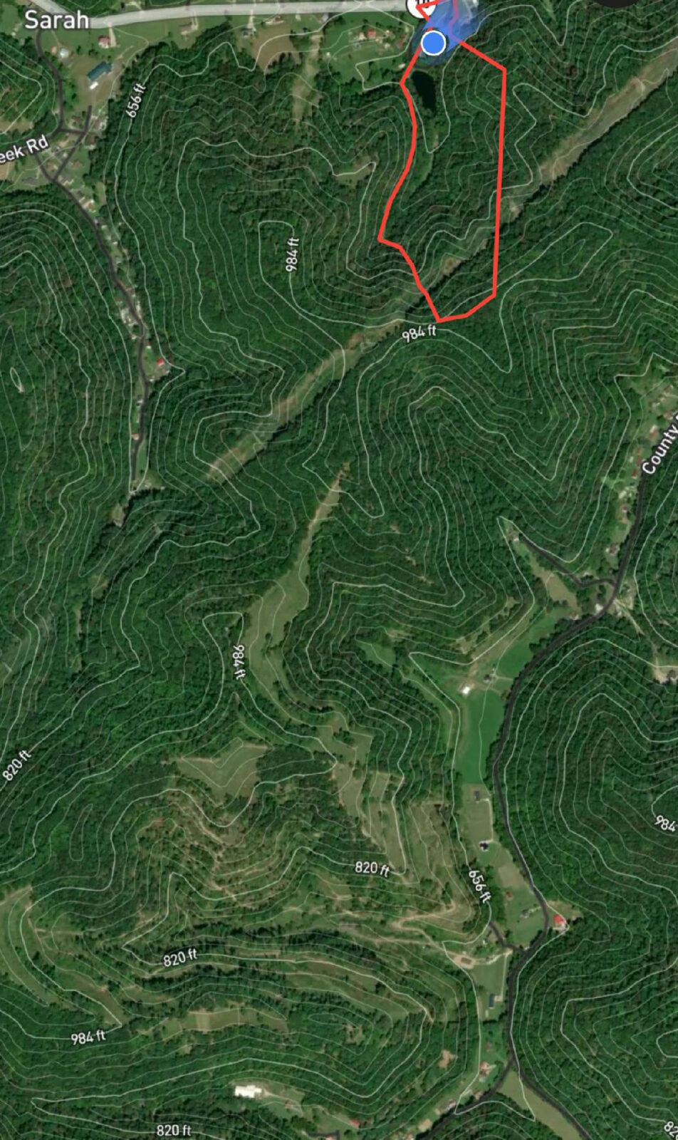 樹林和露天地區的空中地圖圖像。