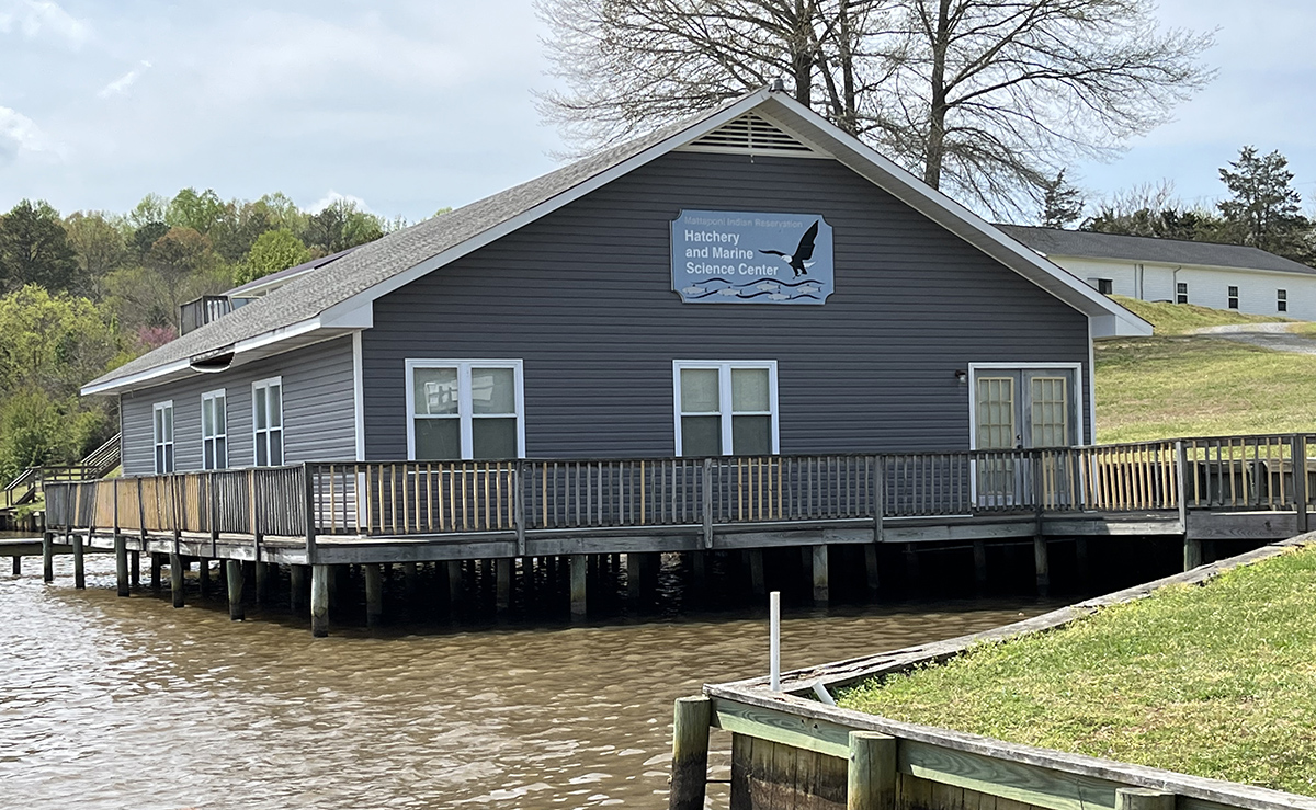 馬塔波尼孵化所和海洋科學中心的圖像；從船上拍攝