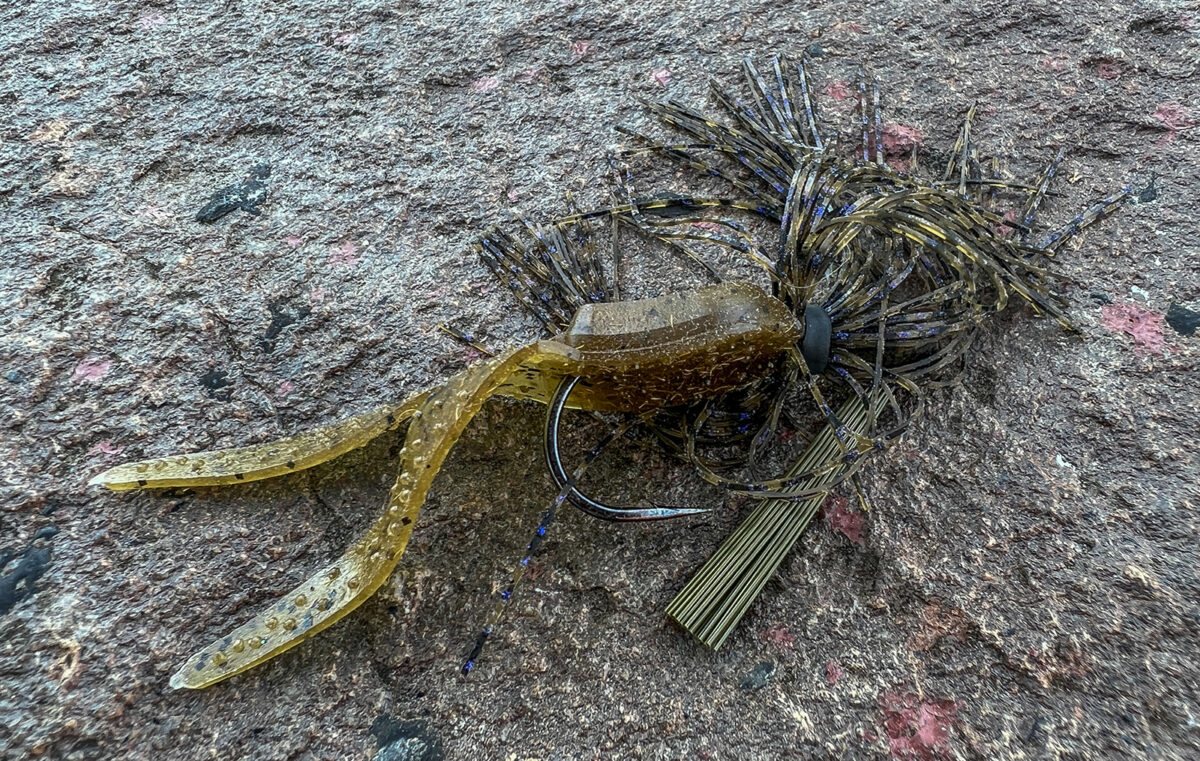 一種經典的大貝斯誘惑，被稱為夾子和鉤子上的豬的圖像