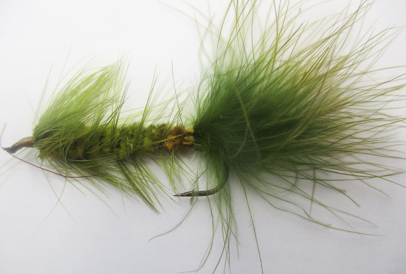 綠色蓬鬆的釣魚蝴蝶的特寫照片。