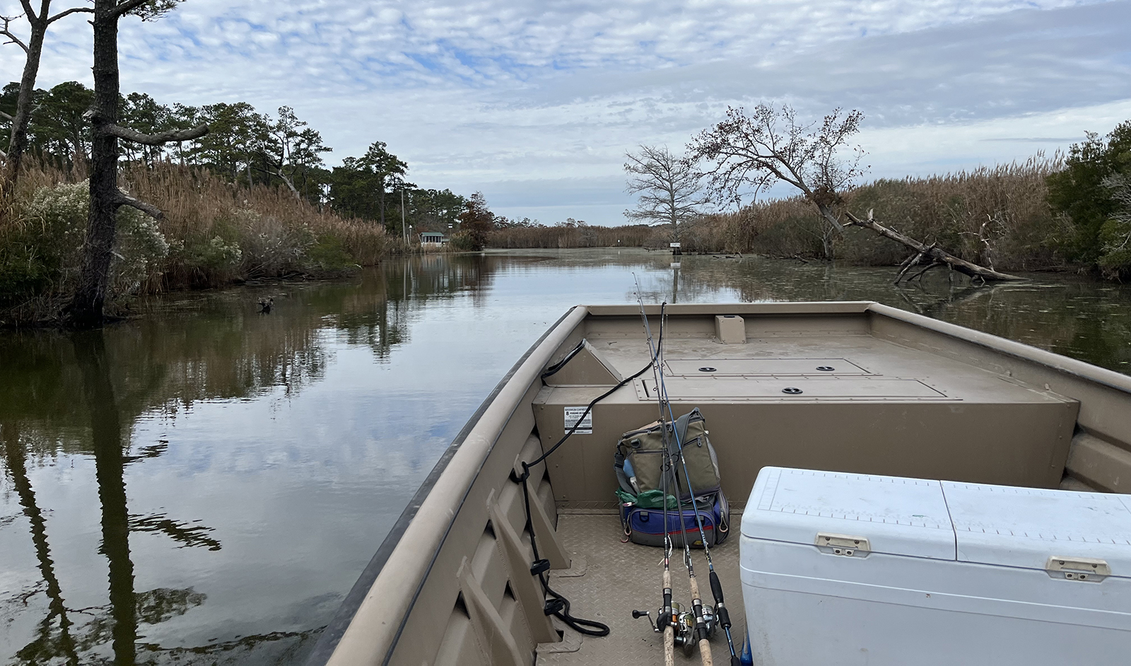 一張船弓穿越狹窄的水道,兩側走進的照片。