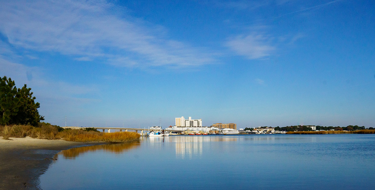 欣賞遊樂園角自然地區的景色