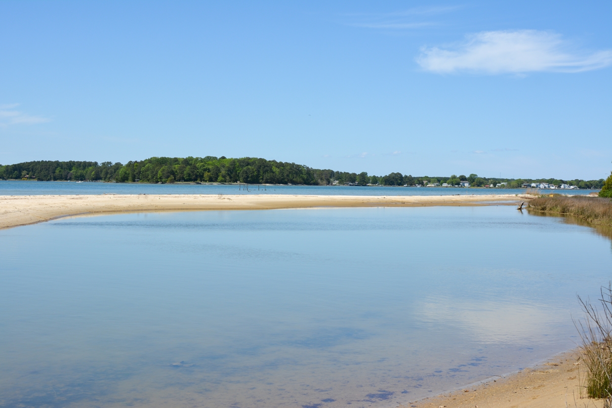 在達美倫沼澤自然保護區的沙灘從河流中脫離隱秘的水區