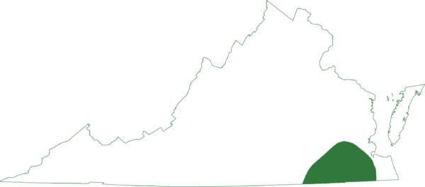 橡樹龜在沿海平原的東南部部分發現