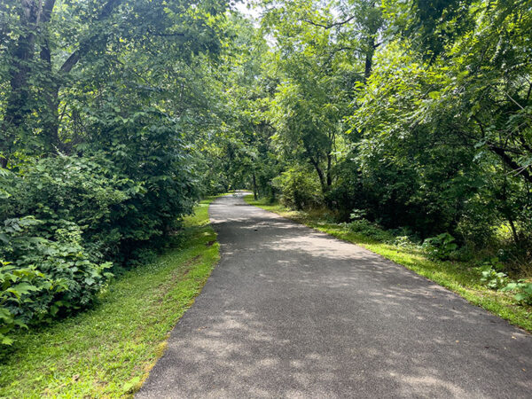 鋪設的小徑從碼頭遠離碼頭進入樹林的區域，灰色貓鳥 " 從灌木叢中發出叫 "。照片來源：麗莎·米斯