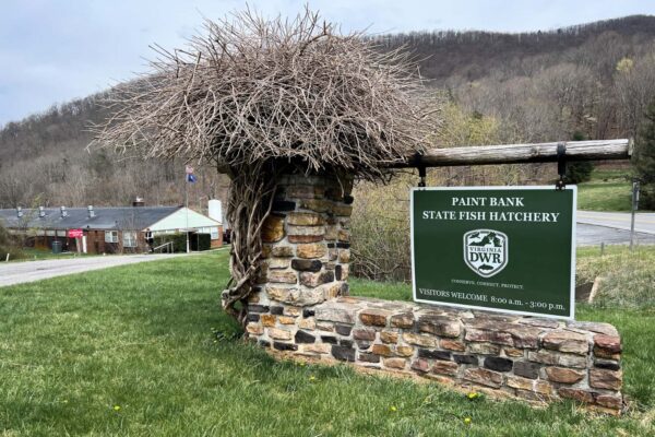 Paint Bank 魚類孵化場的歡迎標誌