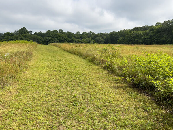 5 K 越野賽道的一部分。