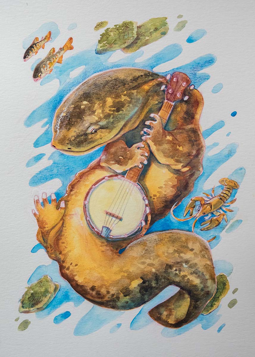 一隻東美洲隱鰓鯢彈奏班卓琴的插圖