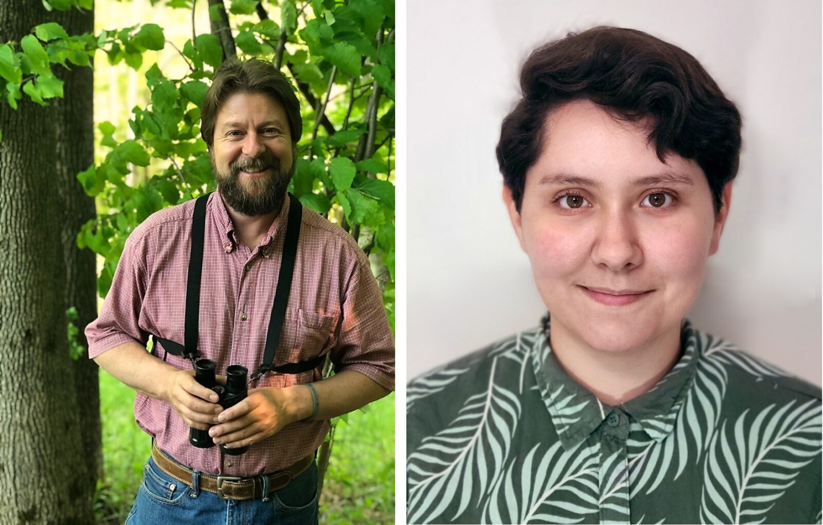 作者物種記錄的兩張照片