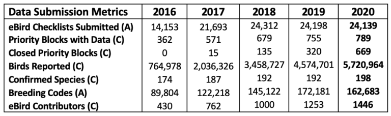 2016-2020 野外賽季全年電子鳥數據摘要