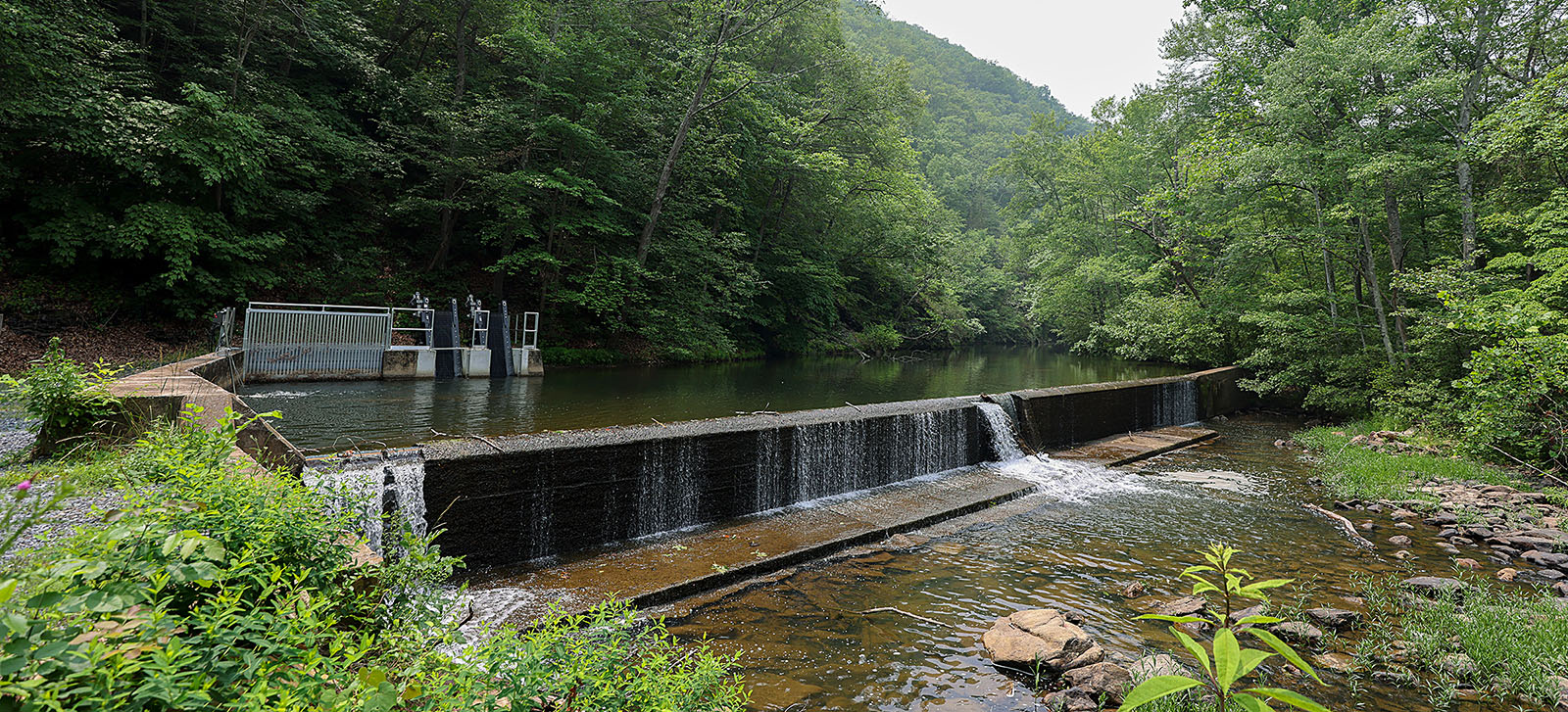 新安裝的進水系統會在 Passage Creek 水中流入過濾桶之前去除垃圾。