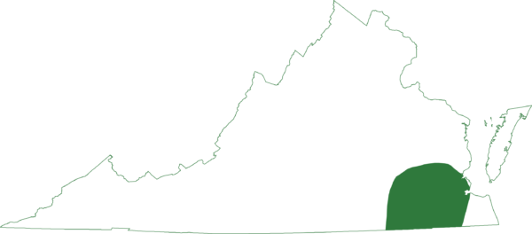 南部合唱青蛙在弗吉尼亞州南部沿岸平原的一小地區發現