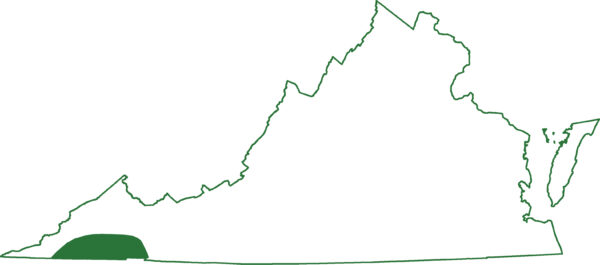 南方斜紋山鼠山脈地圖的圖像；它們只在弗吉尼亞州的幾個縣發現。