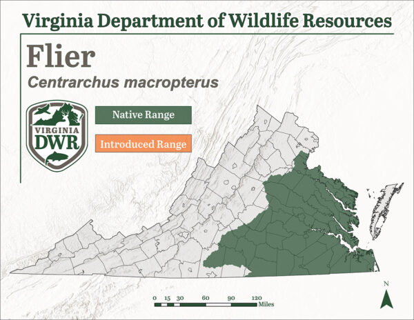 飛行者在東弗吉尼亞州各地都找到