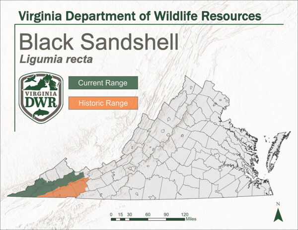 弗吉尼亞州的地圖，種植了現在和歷史悠久的黑色砂殼的地圖。他們曾經居住在州的西部。