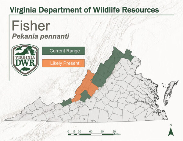 顯示Virginia漁民分佈的地圖