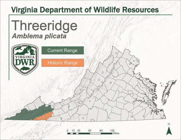 Virginia的地圖顯示了三嶺山脈的當前和歷史範圍。它顯示了Virginia州最西端的兩個地區。