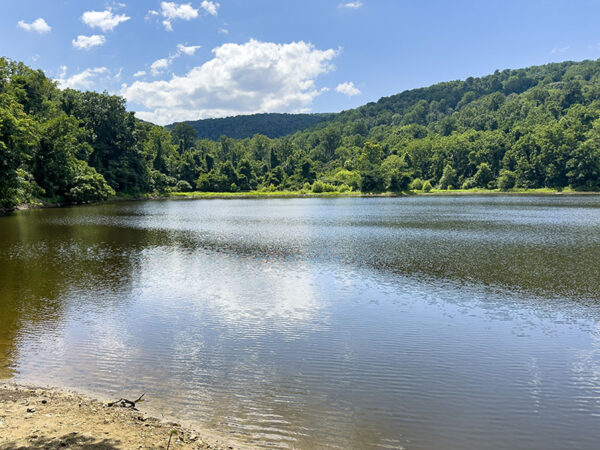 湯普森湖吸引了蝴蝶、蝴蝶和水鳥。照片來源：麗莎·米斯