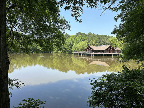 周圍湖泊的樹木和灌木是尋找原生性雀的地方。