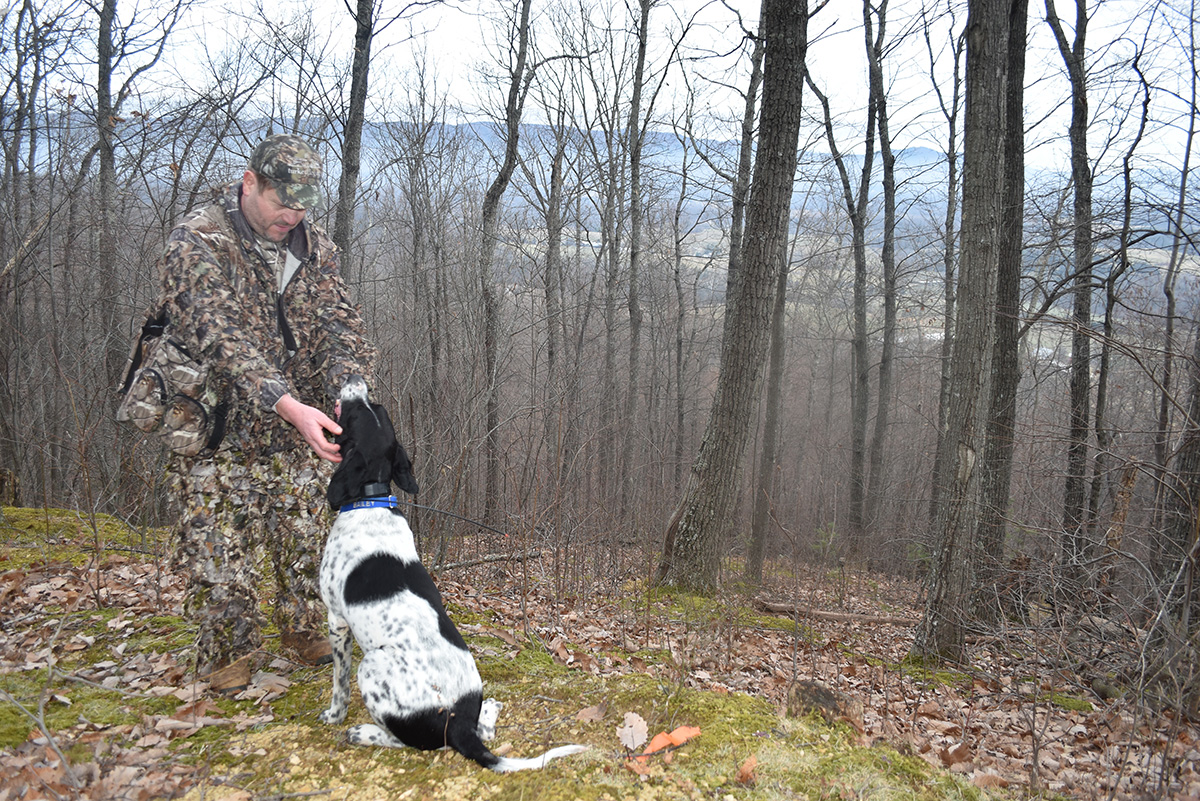 貝利坐在主人的腳邊，同時他告訴她 " 再次去拿它們 " 在第一次分散失敗後