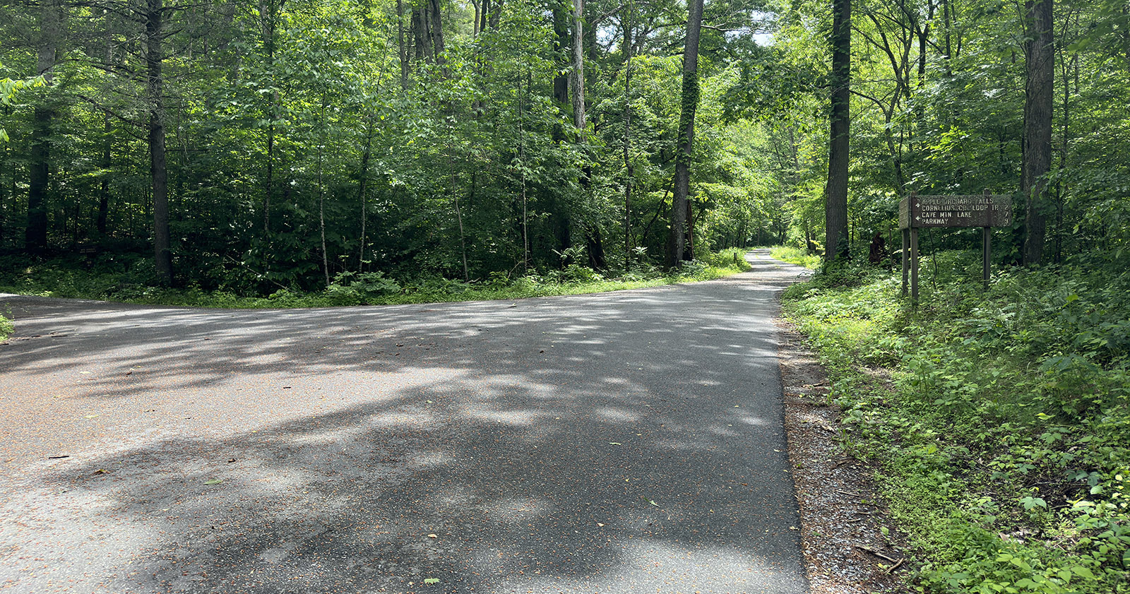 一張道路穿過樹林的照片，左側有一條較小的道路相交。