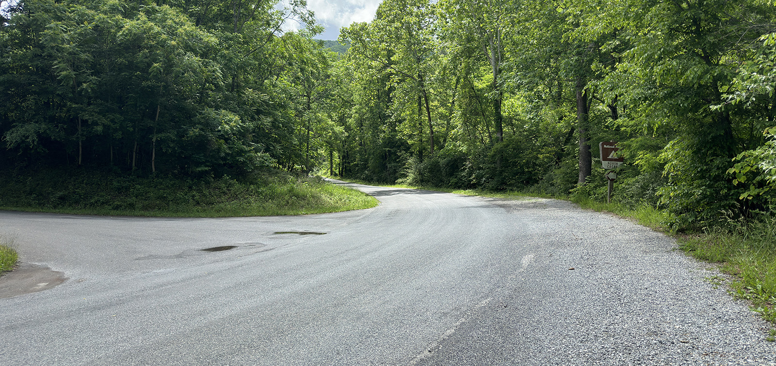 一張道路向左彎曲穿過樹林的照片，左側是碎石路交叉路口。