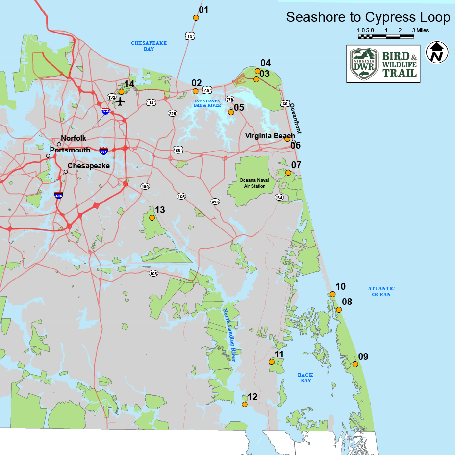 點擊以在海岸到賽普拉斯循環的新標籤中打開地圖
