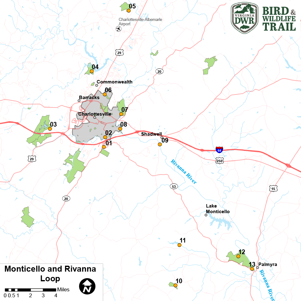 點擊打開蒙蒂塞洛和里瓦納循環的 PDF 地圖