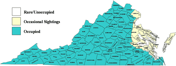 弗吉尼亞州黑熊山脈地圖