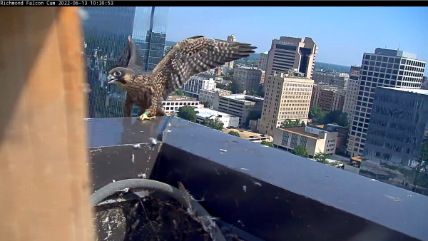 小孩離開鋼筆後立即看著建築物的邊緣。