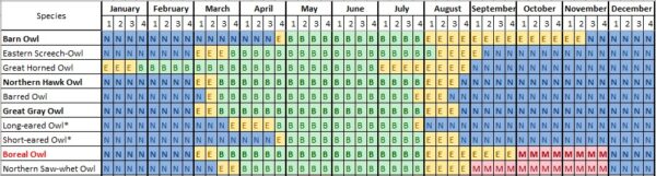 貓頭鷹繁殖代碼報告的圖像