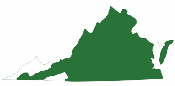 東部彩繪烏龜在弗吉尼亞州大部分地區發現