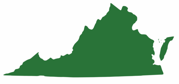維吉尼亞州各地發現東部捕捉烏龜