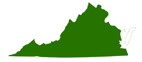 除了島嶼除外,維吉尼亞州都有東方的龜。