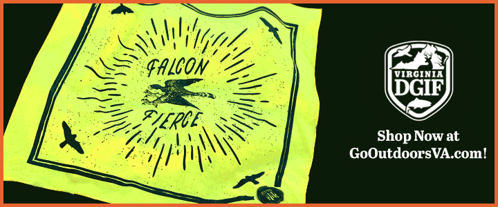 點擊圖片開啟連結進入 DWR 商店網站