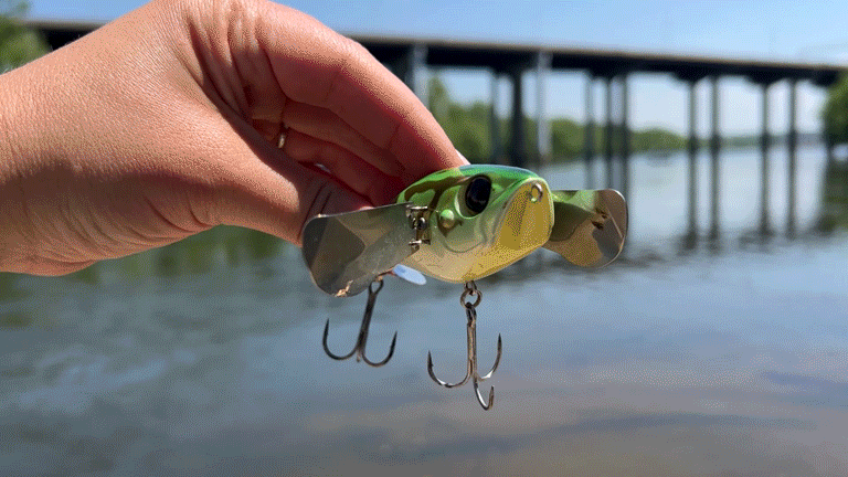 有人手持有效的頂水爬行器的短片