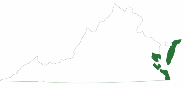 皮背海龜僅在弗吉尼亞州東岸的特定地區發現。