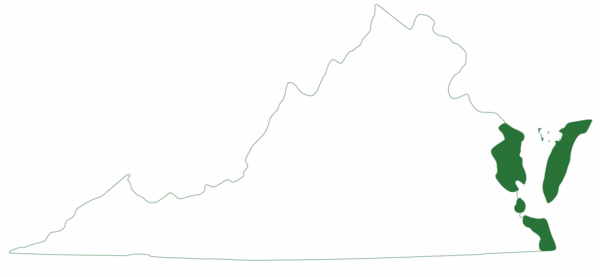 魚頭海龜在弗吉尼亞州東海岸的特定地區發現。