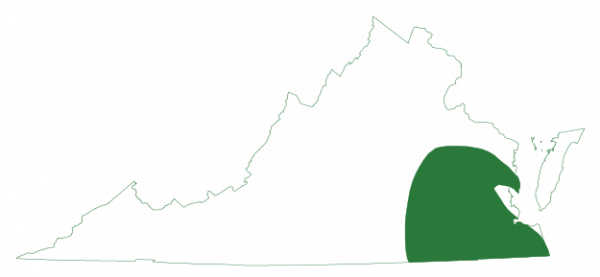 松樹林樹蛙在維吉尼亞州東南部地區發現在沿岸平原內