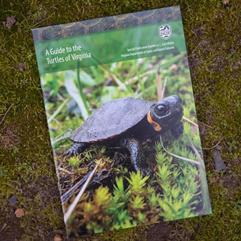 購物 PDF-烏龜指南 01 _ 通往 DGIF 網站的鏈接