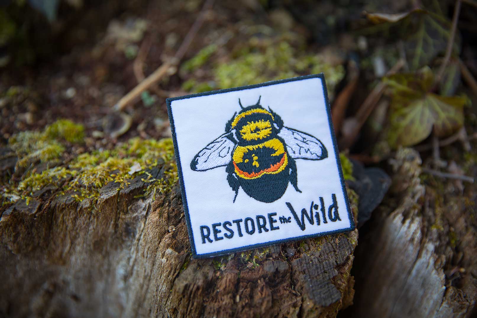 單擊此圖片以打開正在出售的蜜蜂貼鏈接。