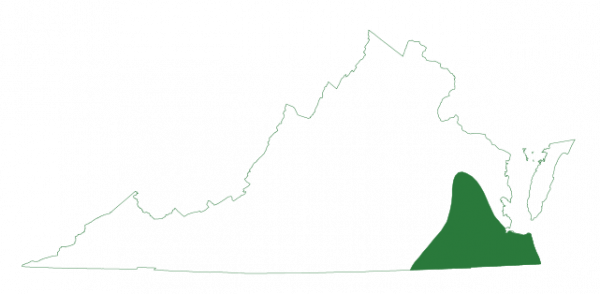 在弗吉尼亞州東南邊界上發現的南頭鷹的範圍地圖像