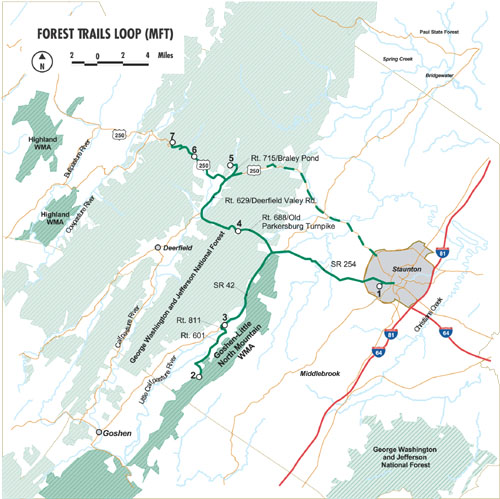 VBWT 循環：萬維特