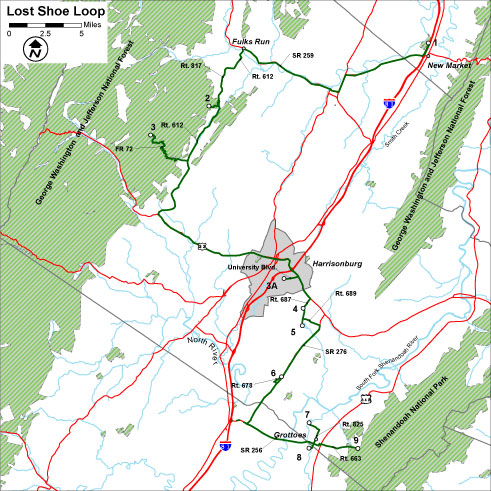 VBWT 循環：美國職業棒球大聯盟