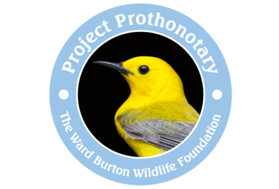 點擊打開沃德伯頓野生動物基金會的鏈接